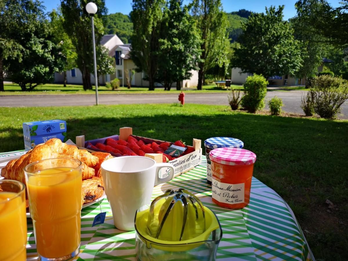 La Maison Bleue, Village Vacances, Piscine, Parking Saint-Geniez-dʼOlt 외부 사진