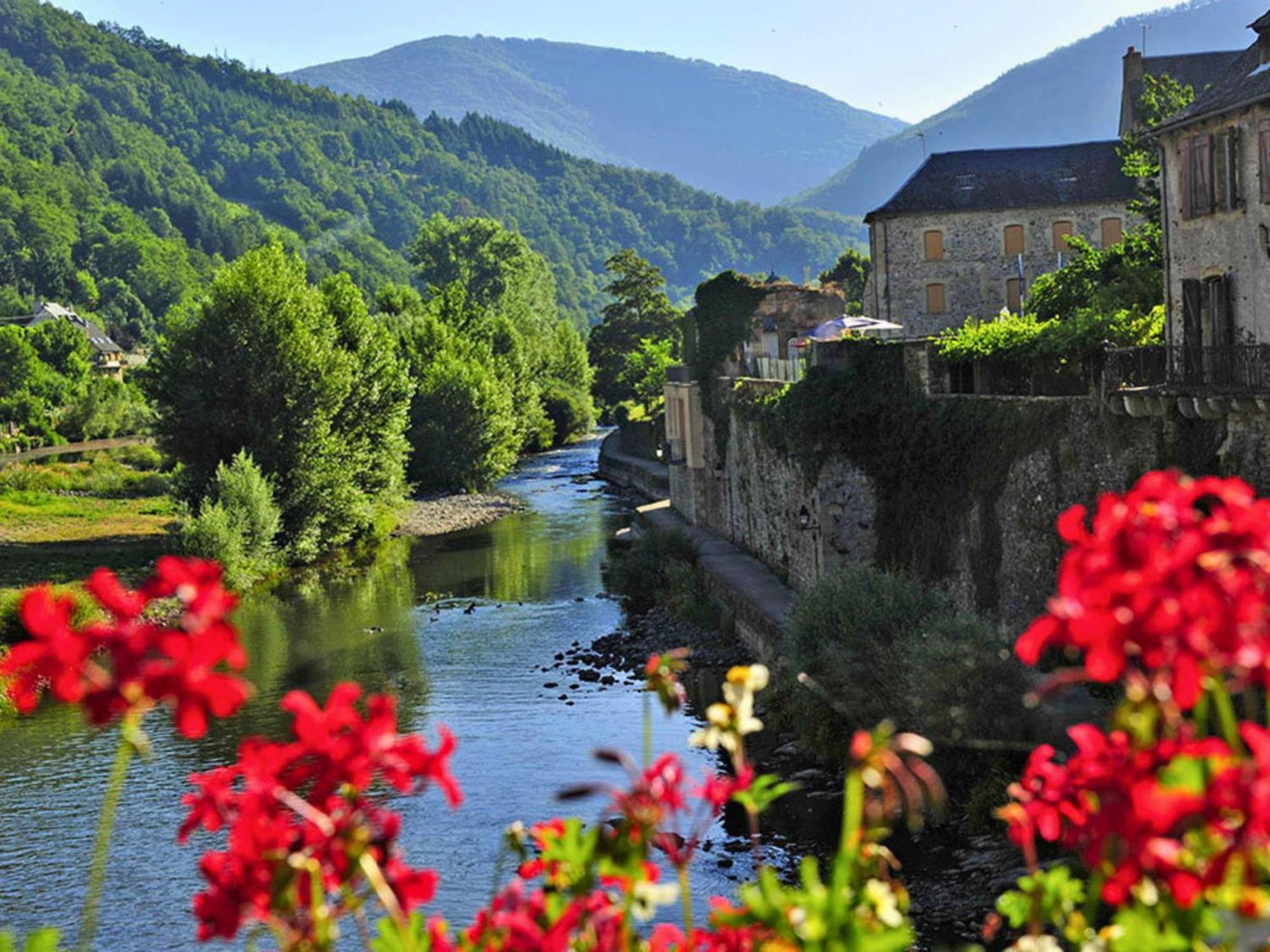 La Maison Bleue, Village Vacances, Piscine, Parking Saint-Geniez-dʼOlt 외부 사진