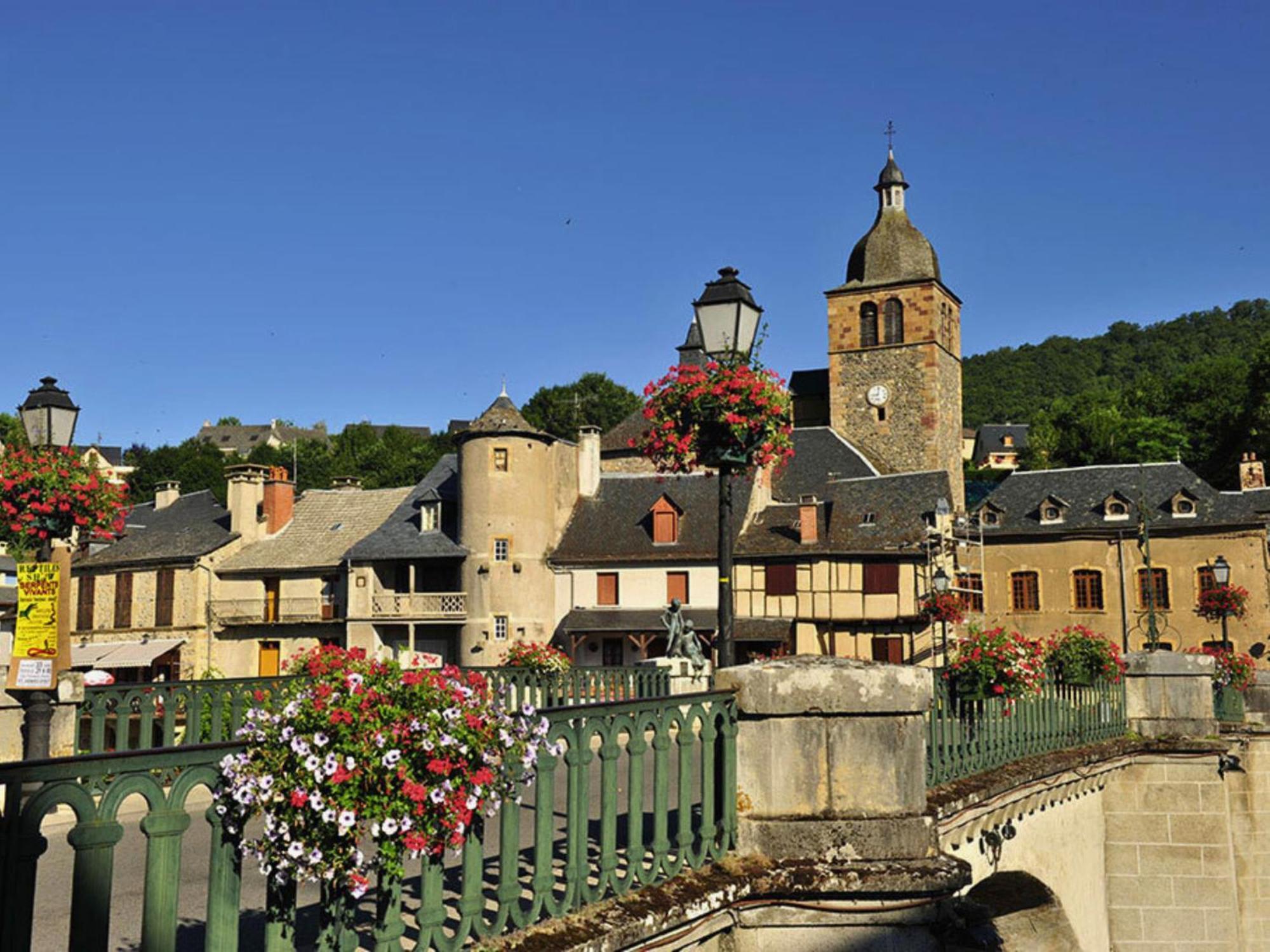 La Maison Bleue, Village Vacances, Piscine, Parking Saint-Geniez-dʼOlt 외부 사진